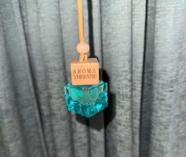 Car Hanging Diffuser