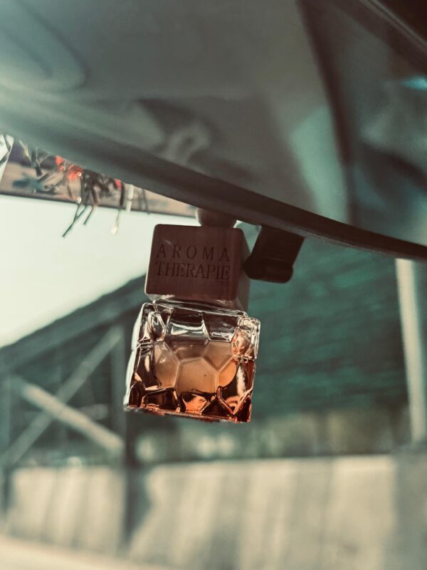 Car Hanging Diffuser - Image 3